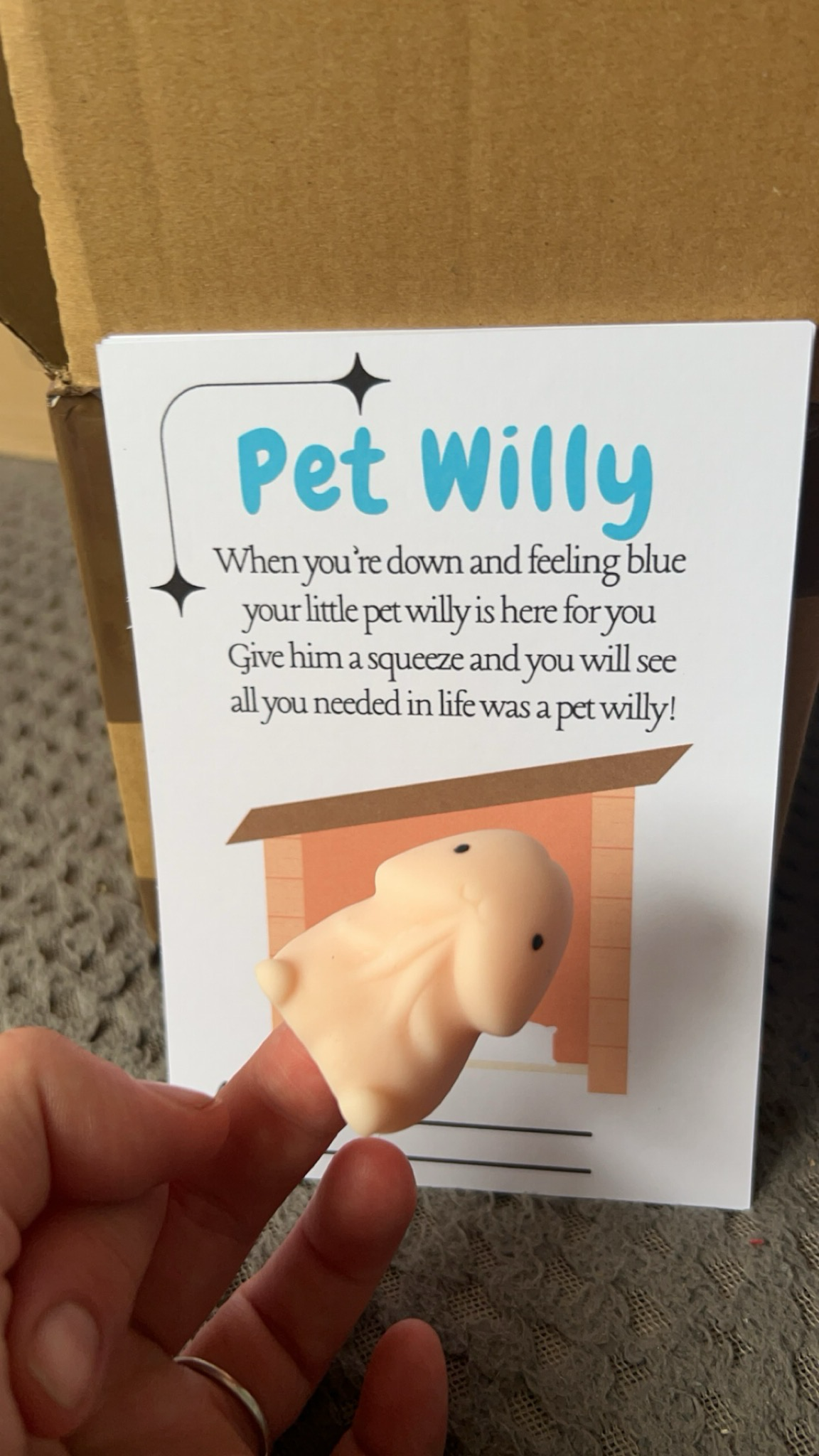 Pet Willy