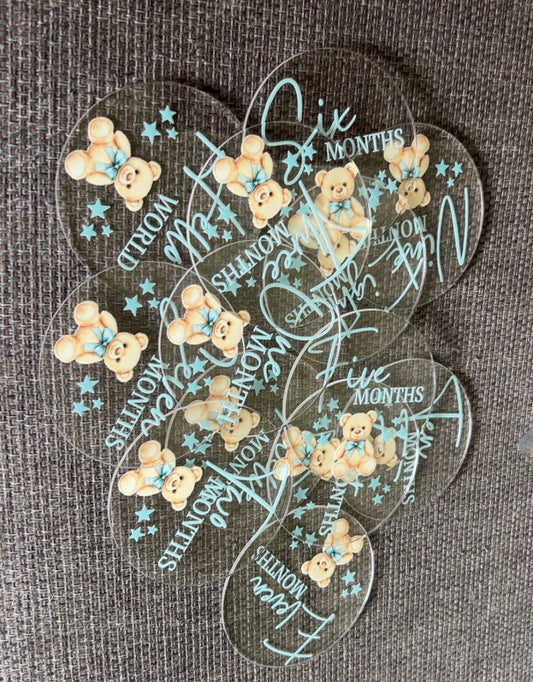 Baby Milestone Discs
