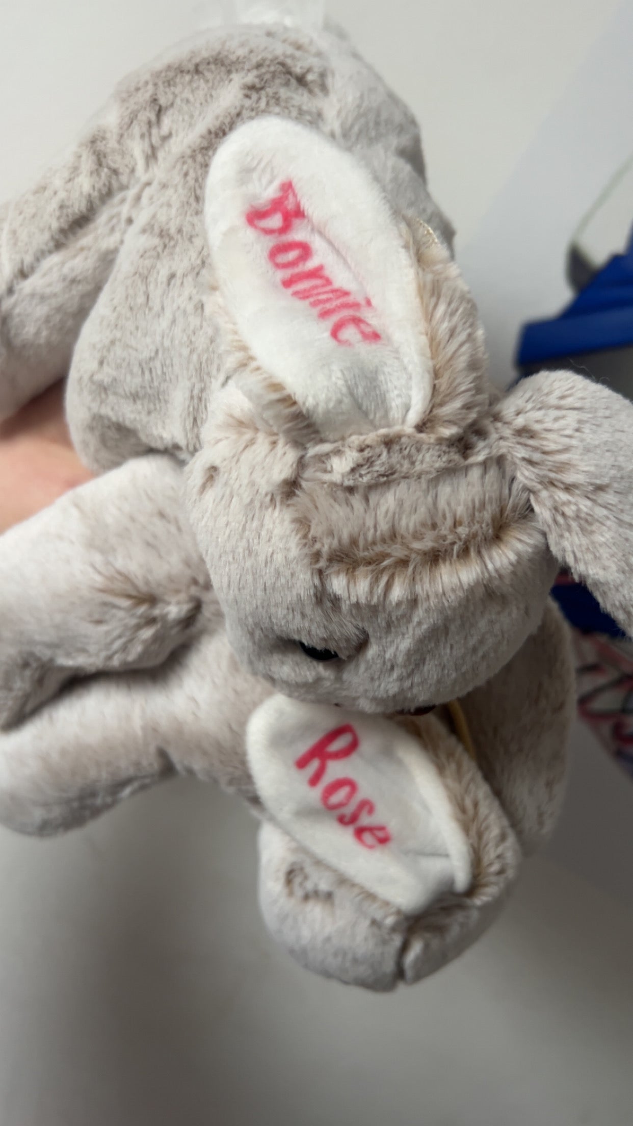Personalised Bunny Teddy | custom bunny plush | cute keepsake gift