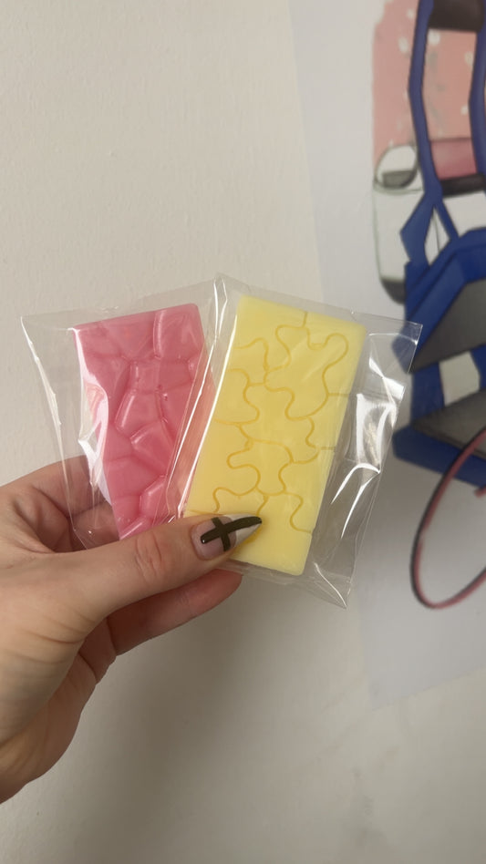 Medium Snap Bar wax melts