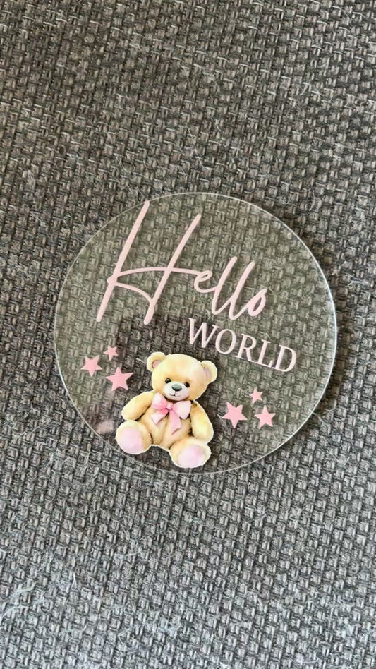 Baby Milestone Discs